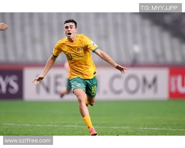 哪些足球球星因缺乏自律而影响职业生涯成就与表现